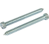 Саморез Квадра DIN 7976 5.5x60 цинк, кор. 4 шт., 6-гр. голова, острый 765560004812