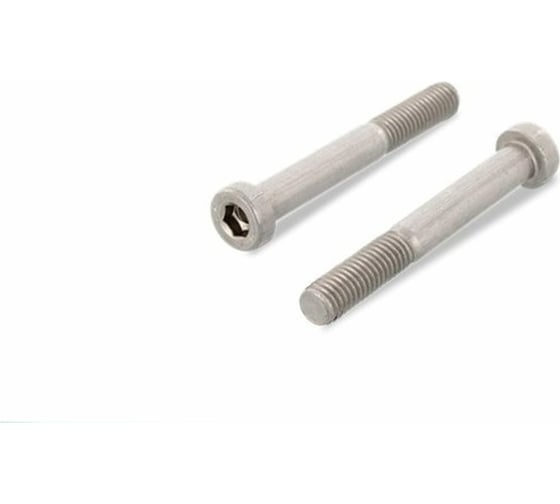 Винт ЦКИ DIN 6912, М8x100, A2, HEX 6, 50 шт. 69473