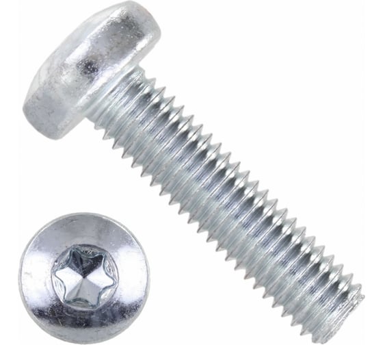 Винт ЦКИ DIN 7985, М6x16, A4, TX 30, 500 шт. 69657
