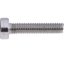 Винт ЦКИ DIN 6912, М10x20, A4, 100 шт. 69435
