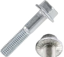 Болт с фланцем ЦКИ DIN 6921, М8x25, рифленый, A2, 200 шт. 69273