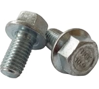 Болт boltnn.ru 12х22 кл.пр 10.9 цинк 853091 550 шт 4687207352215