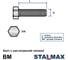 Болт STALMAX с шестигранной головой BM М10х20 полная резьба, 8.8 кл. прочности (арт. 11614) оцинкованная сталь (уп. 150 шт) 11614-023 6