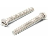 Винт ЦКИ DIN 84, М10x35, A2, SL14x2.5, 100 шт. 69861