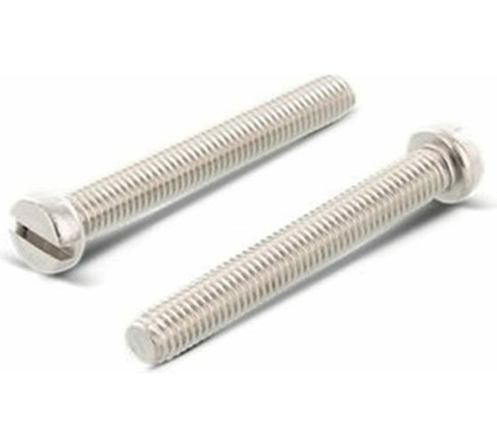 Винт ЦКИ DIN 84, М10x60, A4, SL14x2.5, 100 шт. 69864