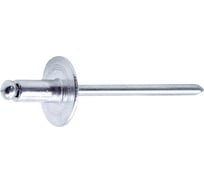 Заклепка вытяжная STALMAX LZV-WE 4,8х16 Al/St с выпуклой шляпкой и экс. увеличенным полем 16 мм (арт. 10478) алюминий/сталь (уп. 250 шт) 10478-023