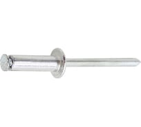Заклепка вытяжная STALMAX LZVL 4,8х16 Al/St с выпуклой шляпкой лепестковая (арт. 10464) алюминий/сталь (уп. 250 шт) 10464-023