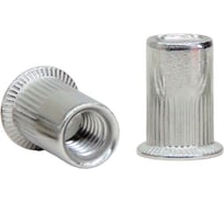 Заклепка-гайка STALMAX цилиндрическая LZN-H A2 М6х15,5 (1,5-4,0) с потайным бортиком и насечками (арт. 10125) нерж. сталь A2 (уп. 500 шт) 10125-023