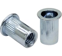 Заклепка-гайка STALMAX цилиндрическая LZN-C М 8х18,5 (1,0-3,5) с цилиндрическим бортиком и насечками (арт. 10113) оц. сталь (уп. 250 шт) 10113-023