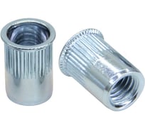 Заклепка-гайка STALMAX цилиндрическая LZN-R М 6х16,0 (2,5-5,0) с уменьшенным бортиком и насечками (арт. 10118) оц. сталь (уп. 500 шт) 10118-023