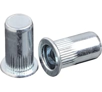 Заклепка-гайка STALMAX цилиндрическая закрытая (глухая) LZN-CC М 6х19 (0,5-3,0) с цилиндр. бортиком и насечками (арт. 11349) оц. сталь (уп. 400 шт) 11349-023