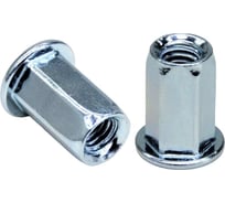 Заклепка-гайка STALMAX шестигранная LZH-C М10х21 (1,0-3,5) с цилиндрическим бортиком (арт. 11546) оц. сталь (уп. 200 шт) 11546-023