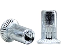 Заклепка-гайка STALMAX цилиндрическая LZN-H М10х21,0 (2,0-5,0) с потайным бортиком и насечками (арт. 10920) оц. сталь (уп. 200 шт) 10920-023