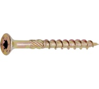 Саморез конструкционный STALMAX LSC-P 8,0х100 с потайной головкой и шлицем TORX (арт. 11988) желтый цинк (уп. 50 шт) 11988-023