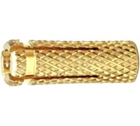 Анкер забиваемый STALMAX ЦАНГА LABR 20х43 (М16) распорный (арт. 10108) латунь (уп. 50 шт) 10108-023