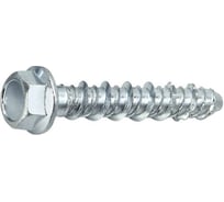 Шуруп для бетона STALMAX LSB-S 10x120/65 шестигранная голова с ПШ, кл. пр. 8.8 (арт. 11307) оц. сталь (уп. 50 шт) 11307-023