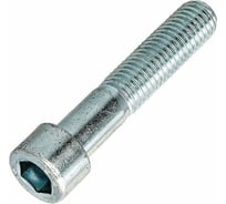 Винт ЦКИ DIN 912, М6x80, A4, HEX5, 100 шт. 70385