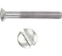 Винт ЦКИ DIN 964, М6x50, A2, SL10x1.6, 100 шт. 70672