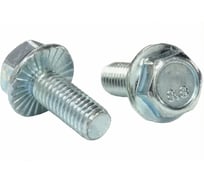 Болт с фланцем boltnn.ru DIN6921 М6х20 8.8 цинк с насечкой 200 шт 4687207387965