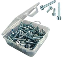 Винт 23 Болта ПР 6х40 мм ОЦ к.п.8.8 DIN912 в органайзере, 70 шт. А0D000604032505орг-ф70