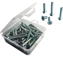 Винт 23 Болта потайной ОЦ 5х45 DIN965 в органайзере, 80 шт. АВ8200504532005орг-ф80