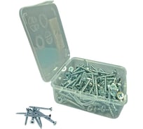 Шуруп для дерева 23 Болта потайной 4х20 БЦ в органайзере, 310 шт. АВ710400203200Форг-ф310