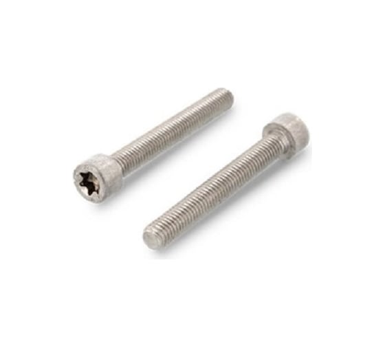 Винт ЦКИ ISO 14579, М2.5x8, A2, TX8, 1000 шт. 70901 1