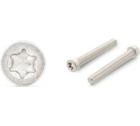Винт ЦКИ ISO 14580, М2.5x4, A2, TX8, 1000 шт. 70921