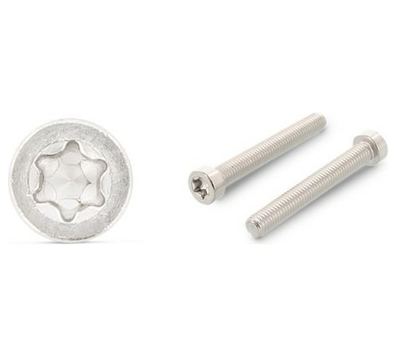 Винт ЦКИ ISO 14580, М3x8, A2, TX10, 1000 шт. 70930 1