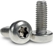 Винт ЦКИ ISO 14583, М6x12, A2, TX30, 500 шт. 70953