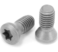 Винт Русский Инструмент М1,8 TORX T6 TS 18041I/HG для механического крепления пластин ri.486.142