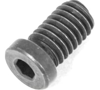 Винт Русский Инструмент М2,5 TORX T08 CSX2531 для механического крепления пластин ri.486.79