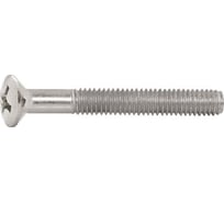 Винт ЦКИ DIN 966, М4x25, A2, Ph2, 500 шт. 70881