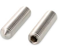 Винт установочный DIN 914 M6x25 мм, А2, нержавеющий, внутренний шестигранник, 10 шт. Edelfix 9142625 10