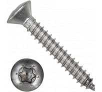 Саморез ЦКИ DIN 7983, 4.2x25, остроконечный, TORX, A2, 1000 шт. 73183