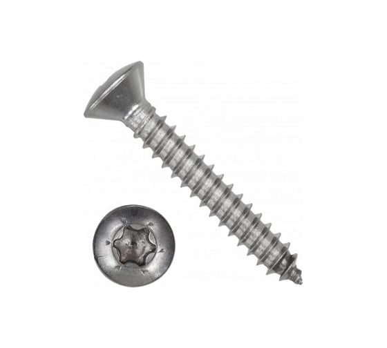 Саморез ЦКИ DIN 7983, 4.2x25, остроконечный, TORX, A2, 1000 шт. 73183 1