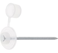 Гвоздь кровельный STARFIX 2.8х70 мм с пласт. шляпкой, бесцветный (100 шт в пласт. конт.) ЦЗ-0253621530