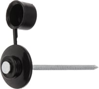 Гвоздь кровельный STARFIX 2.8х70 мм с пласт. шляпкой, черный (100 шт в пласт. конт.) ЦЗ-1292128350