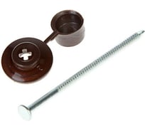 Гвоздь кровельный STARFIX 2.8х70 мм с пласт. шляпкой, темно-коричн. (100 шт в пласт. конт.) ЦЗ-0352089720