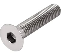 Винт М4х16 20 шт с потайной головкой под внутренний шестигранник для скрытого крепления DIN 7991 нержавеющая сталь A2-70 ARNO INDUSTRIES A49800401693007