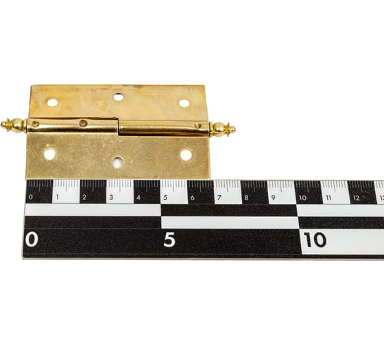 Петля Amig покрытие латунь, IZ-Правая 541-70 (IZ)
