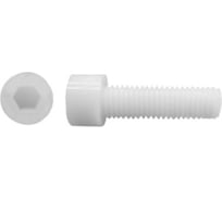 Винт DINFIX DIN 912, полиамид (пластик), М8x70, 10 шт. 00-00001590