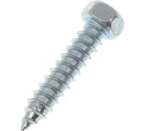 Саморез ОПМ DIN 7976 d6,3х60 zn 250 шт 00000013472