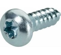 Саморез ОПМ ISO 14585/DIN 7981 C-Т 20 d 3,9х19 black zn 1000 шт УТ000170175