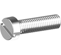 Винт ОПМ DIN 84 М10х50 4.8 zn 50 шт П0000016367