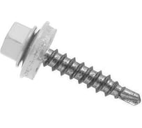 Кровельный саморез 4,8х29 мм, RAL9003 сигнальный белый, 75 шт ARNO INDUSTRIES AB5304802993G98