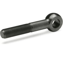 Болт Elesa+Ganter DIN 444-M12-75 4687207436298