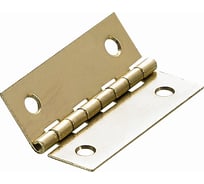 Шкатулочная петля ALBERTS латунированная, 24x36 мм, 2 шт. 953355