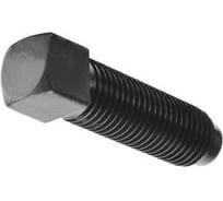 Винт ОПМ DIN 479 М16х 90 8.8 5 шт УТ000151667