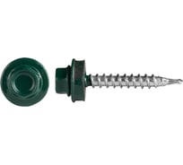 Саморез кровельный РУССТАЛЬ МЕТИЗ 5,5x19 RAL6005 (250шт) 43